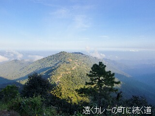 写真1 写真1